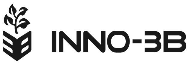 Logo INNO 3 B copy 1 2x